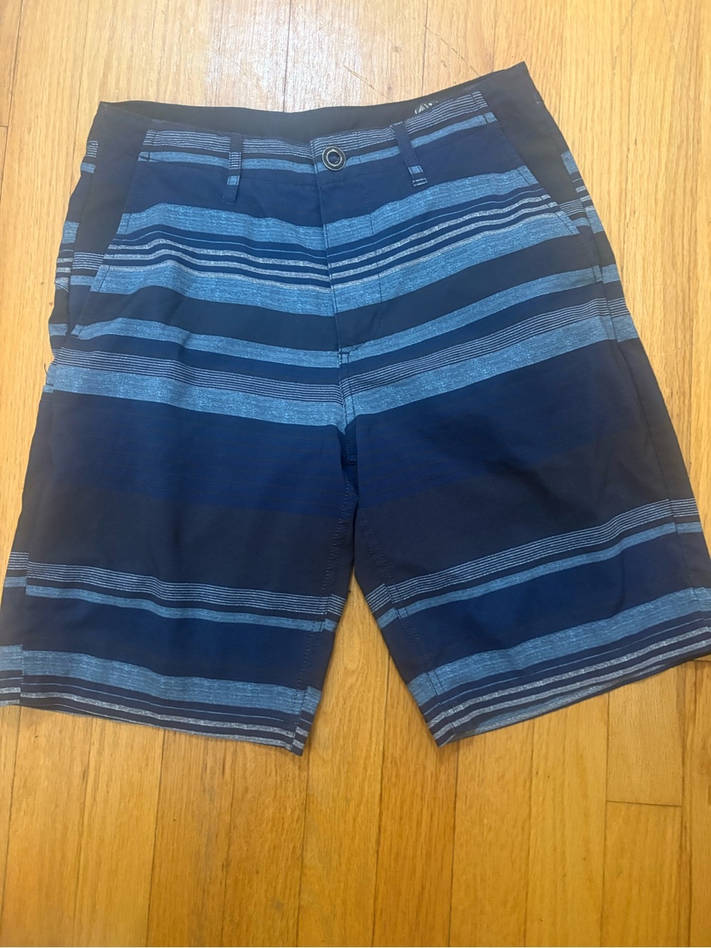 Volcom Striped Navy Blue Board Shorts